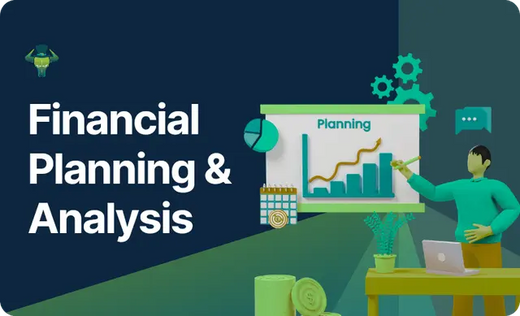 Financial Planning and Analysis (FP&A)